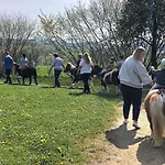 Bauernhof Nissl * 네운부르그포름발트
