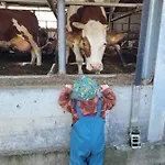 Bauernhof Nissl Κατάλυμα σε φάρμα *