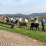 팜스테이 Bauernhof Nissl 네운부르그포름발트
