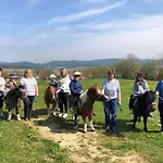 Bauernhof Nissl 팜스테이 네운부르그포름발트