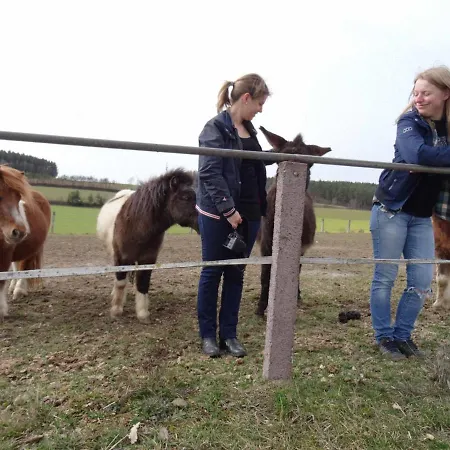 Bauernhof Nissl Farm stay *
