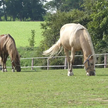 Bauernhof Nissl Farm stay