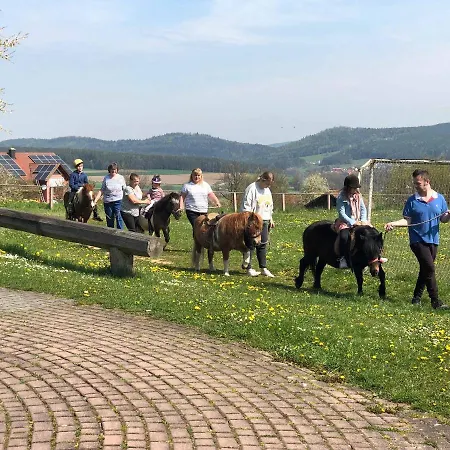Farm stay Bauernhof Nissl Neunburg vorm Wald