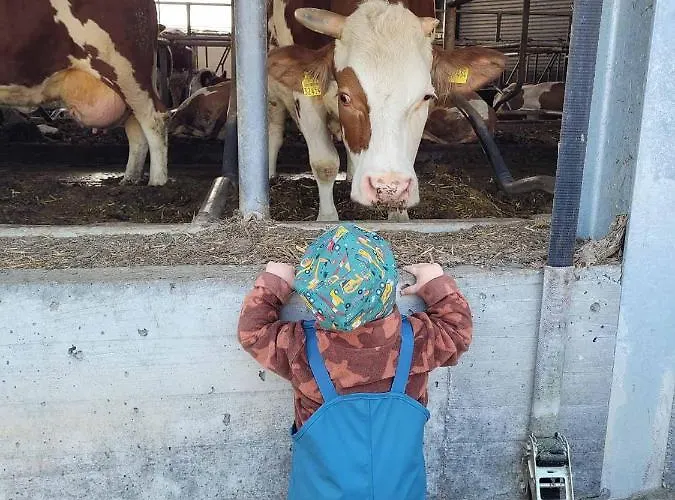Bauernhof Nissl Farm stay *
