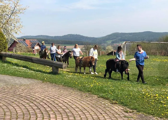 Farm stay Bauernhof Nissl Neunburg vorm Wald